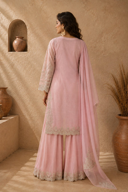 Blush Pink Silver Embroidered Sharara Set